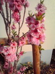2009-04-08T19_06_36-2.jpg